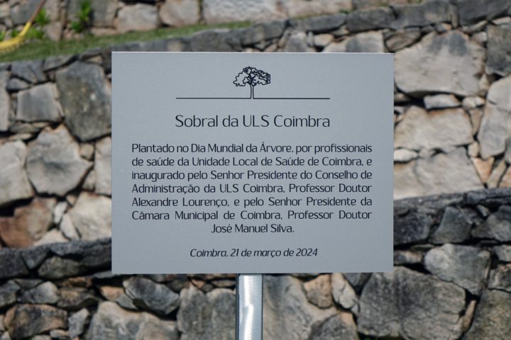 Plantação de 34 Sobreiros na Quinta de São Jerónimo 10 (Personalizar)