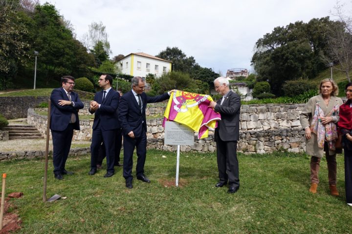 Plantação de 34 Sobreiros na Quinta de São Jerónimo 2 (Personalizar)