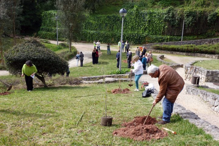 Plantação de 34 Sobreiros na Quinta de São Jerónimo 4 (Personalizar)