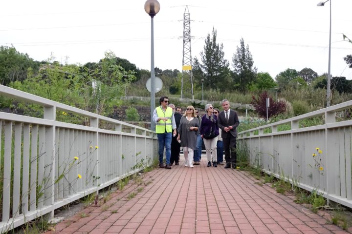 SMM Visita ao local de plantações 2 (Personalizar)