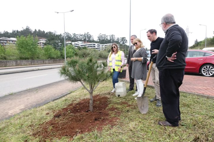 SMM Visita ao local de plantações 3 (Personalizar)