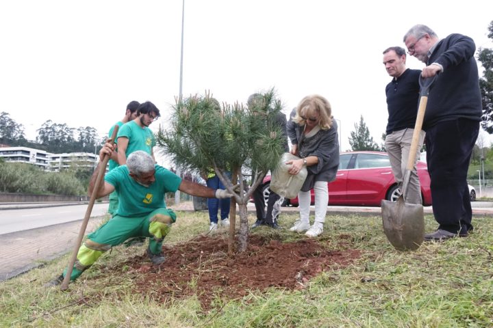 SMM Visita ao local de plantações 4 (Personalizar)