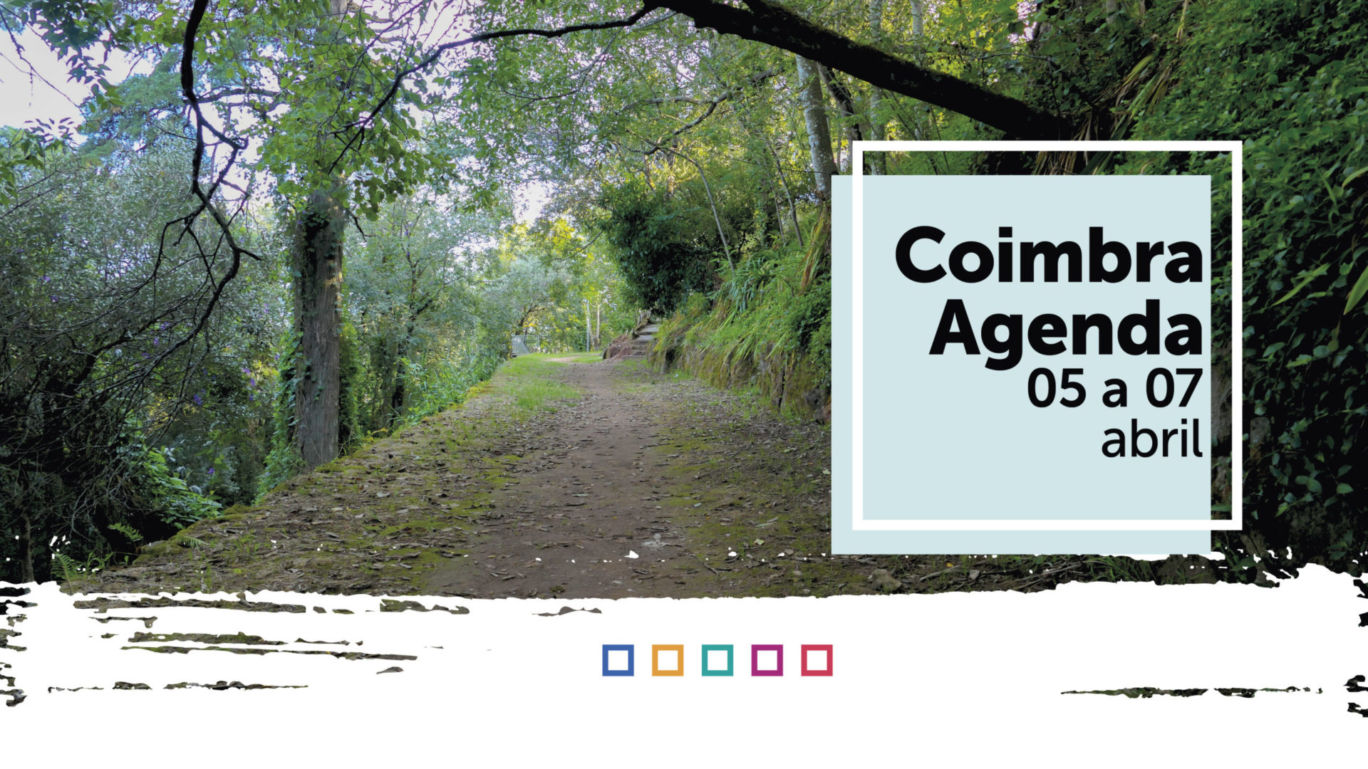 Atividade cultural do Município de Coimbra para o fim de semana