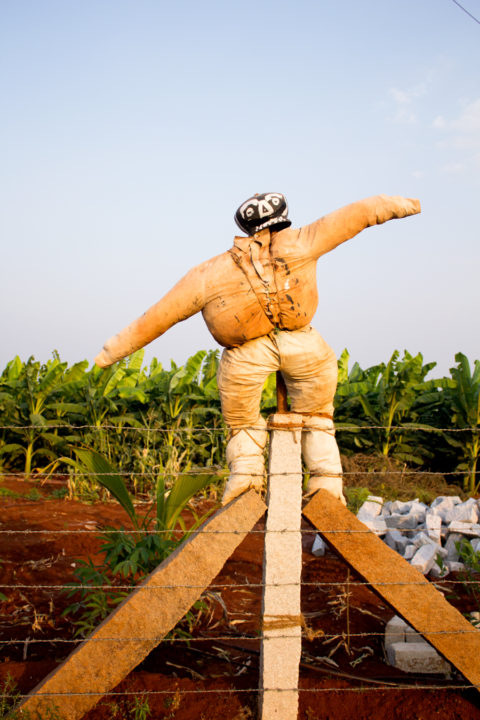 CSF exposição Dançar um corpo de sons ©Joao Bento
