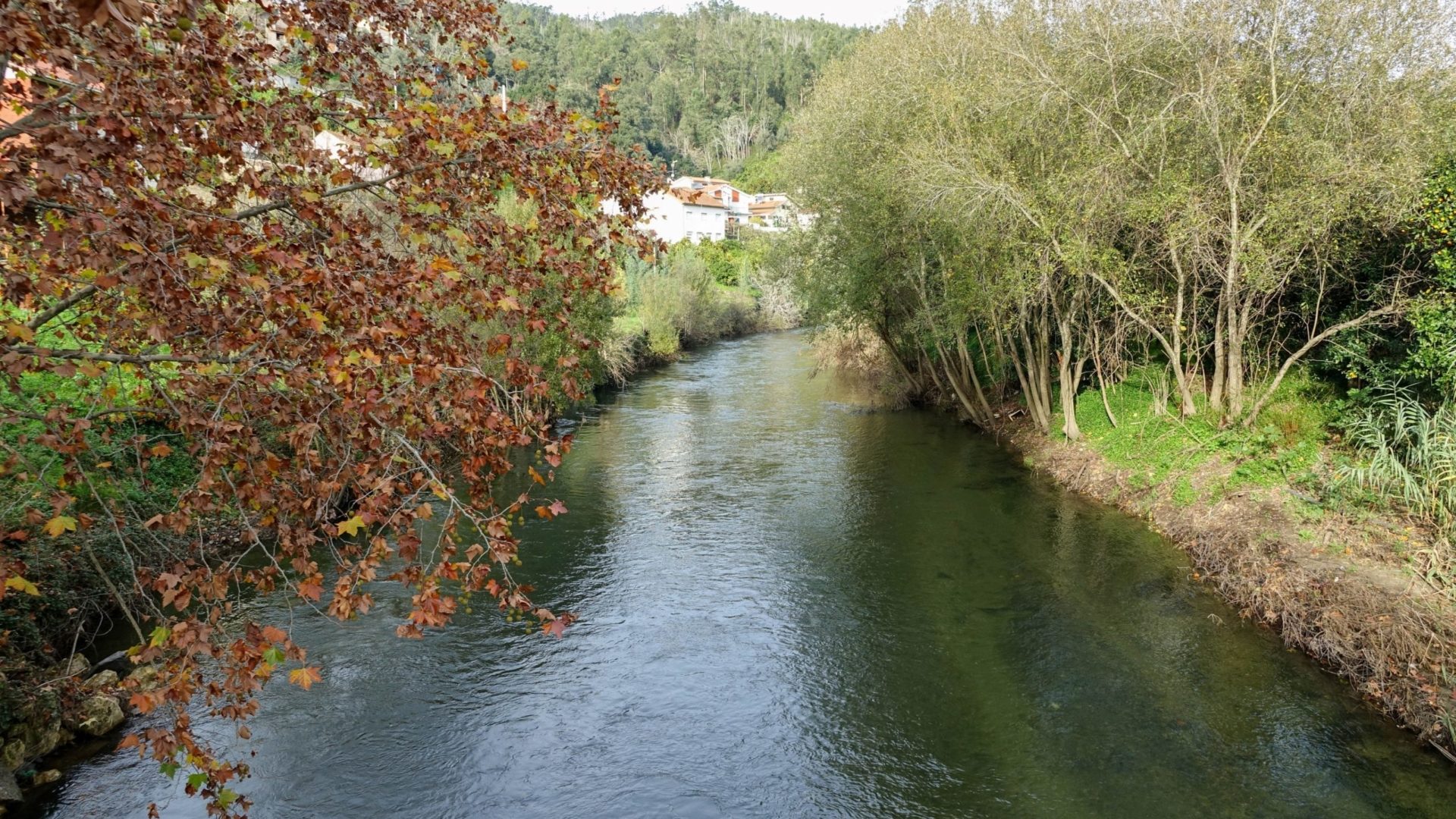 APA vai assumir a estabilização da Foz do Ceira