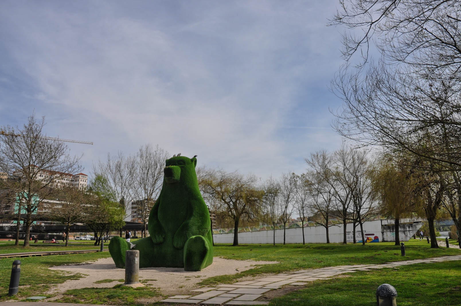 Dia Mundial da Atividade Física com rastreios e atividades no Parque Verde