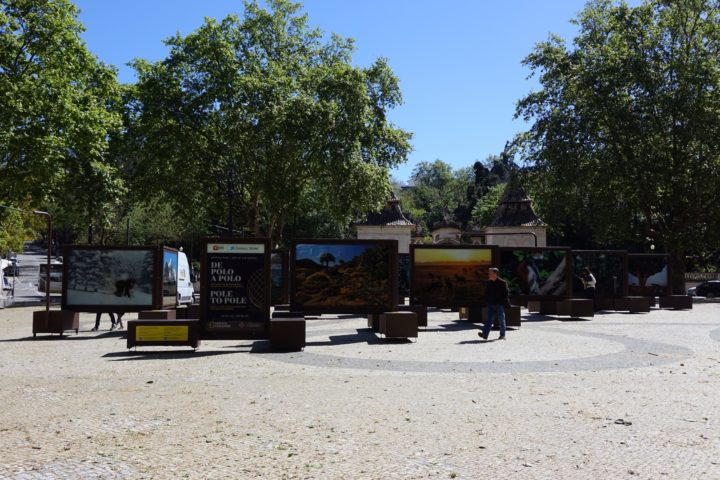 Exposição itinerante Polo a Polo Coimbra 1 (Personalizar)