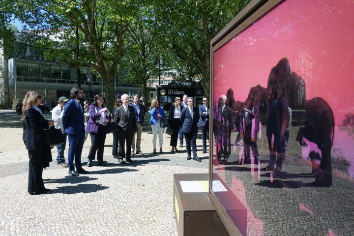 Exposição itinerante Polo a Polo Coimbra 16 (Personalizar)