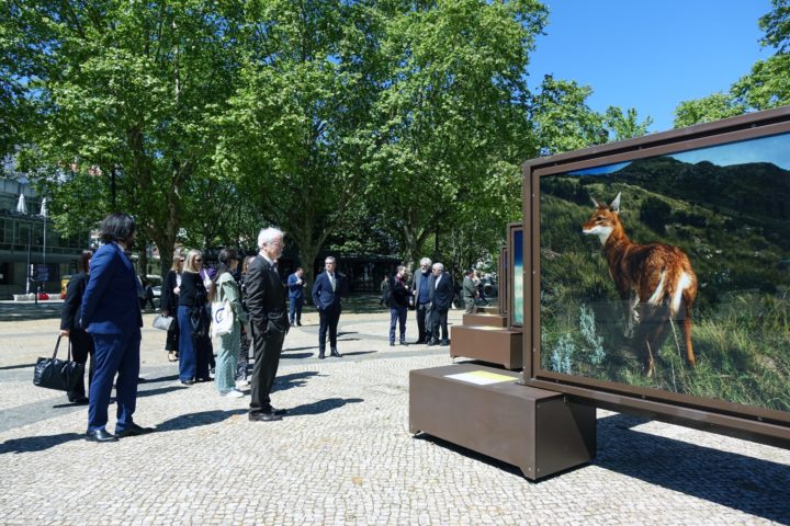 Exposição itinerante Polo a Polo Coimbra 17 (Personalizar)