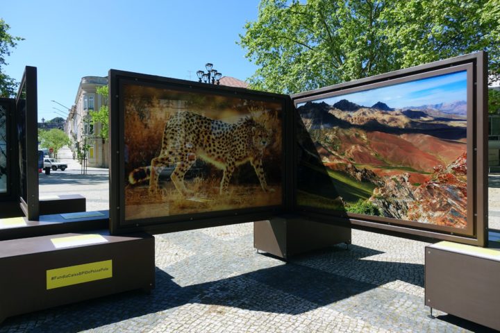 Exposição itinerante Polo a Polo Coimbra 3 (Personalizar)