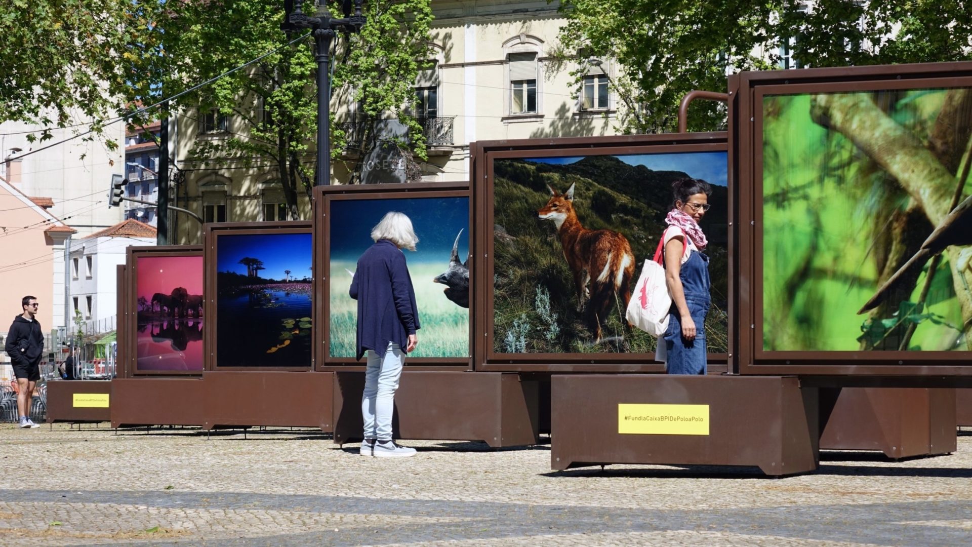 Praça da República acolhe exposição “De Polo a Polo, uma viagem fotográfica aos últimos paraísos naturais do Planeta”