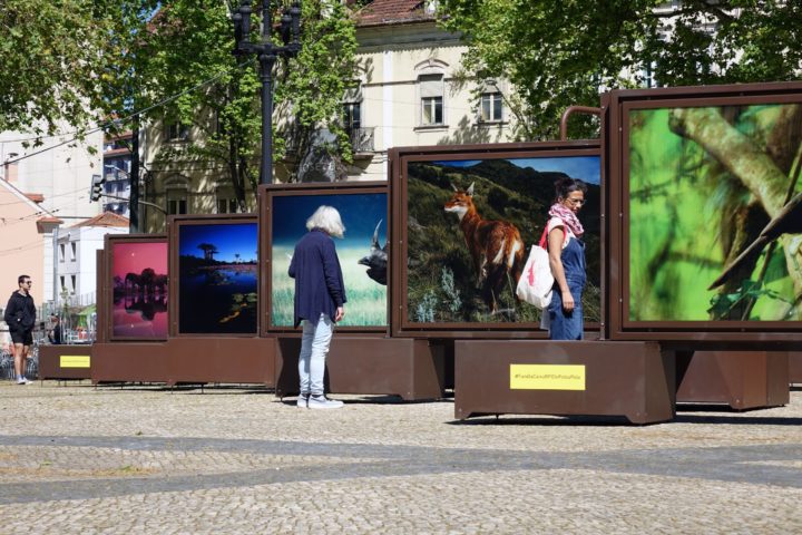 Exposição itinerante Polo a Polo Coimbra 4 (Personalizar)