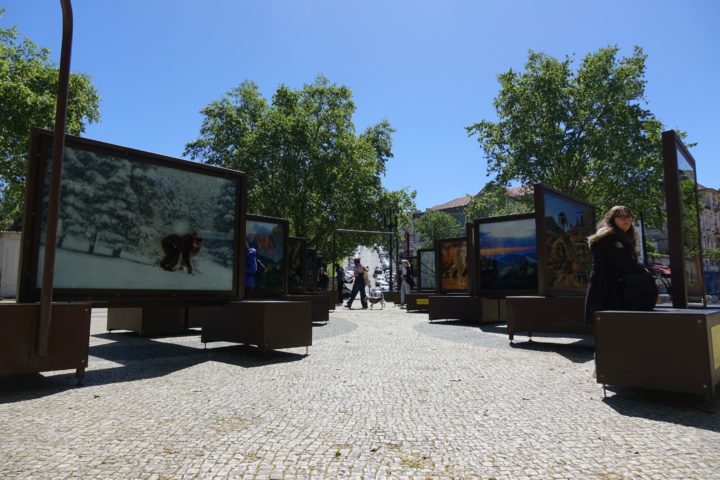 Exposição itinerante Polo a Polo Coimbra 5 (Personalizar)