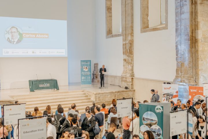 HR_PlateStudio_240416_105524_8465 (Custom)