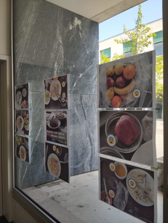 Respeitar cada alimento2