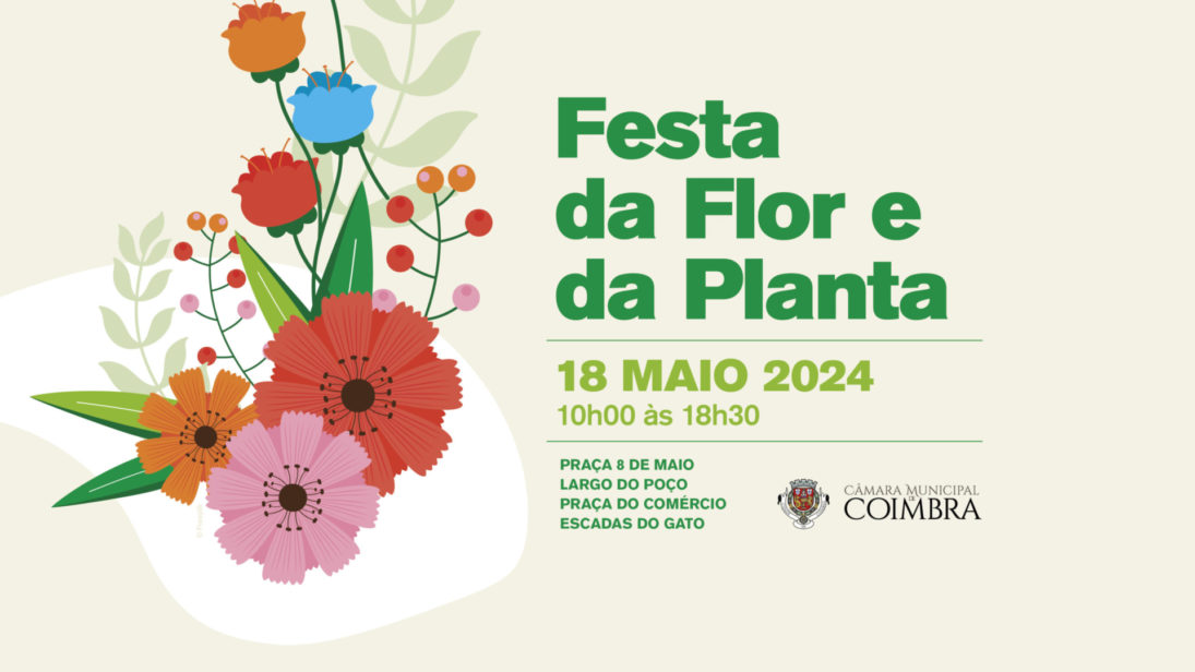 Festa da Flor e da Planta regressa à Baixa de Coimbra a 18 de maio