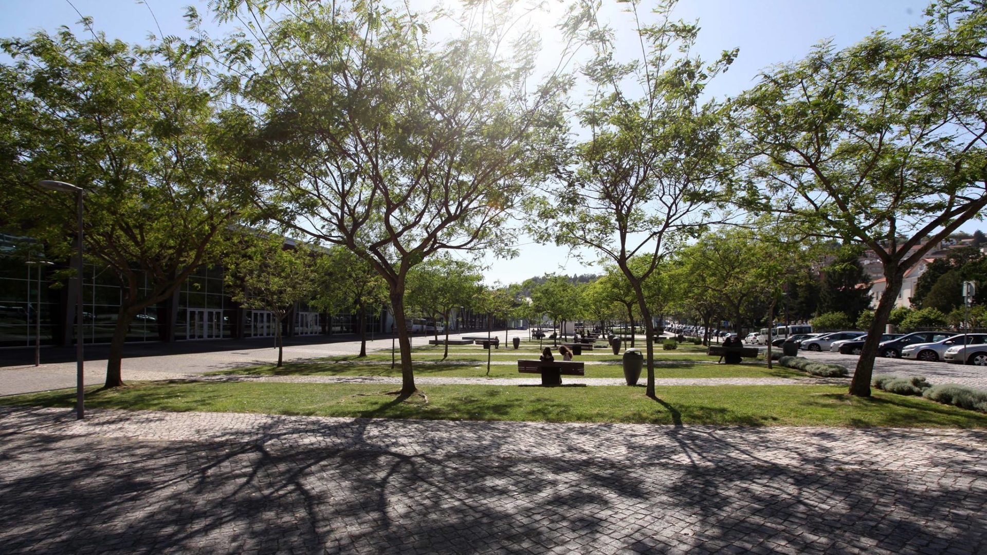 Estudantes de Estudos Europeus assinalam Dia da Europa na Praça Heróis do Ultramar