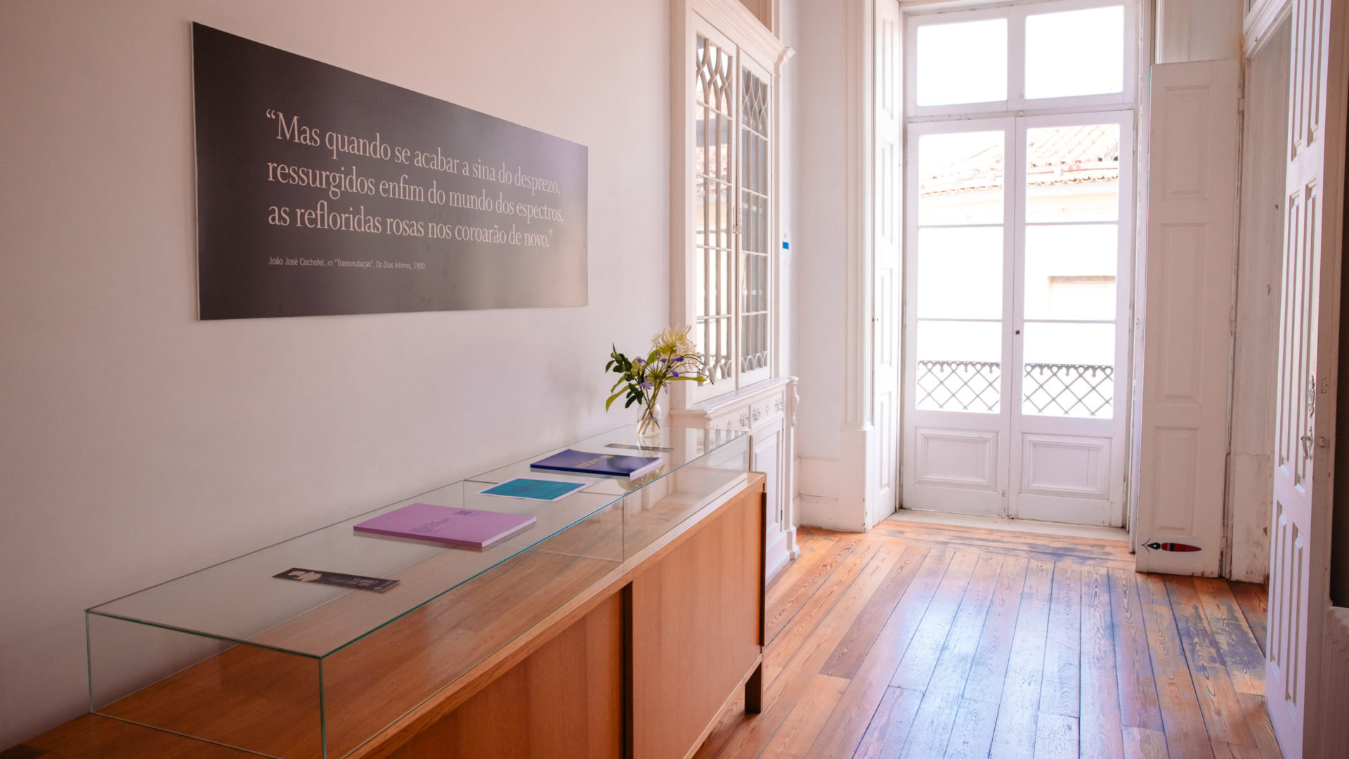 Casa da Cidadania da Língua vai acolher ciclo de encontros mensais “Camões Sem Parar”