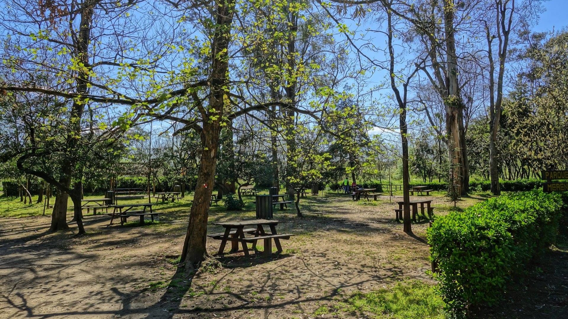 Coimbra renova compromisso com a “Rede de Cidades CENCYL”