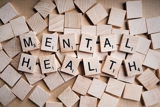 Regulamento do Centro de Apoio Psicológico e de Saúde Mental em consulta até 12 de junho