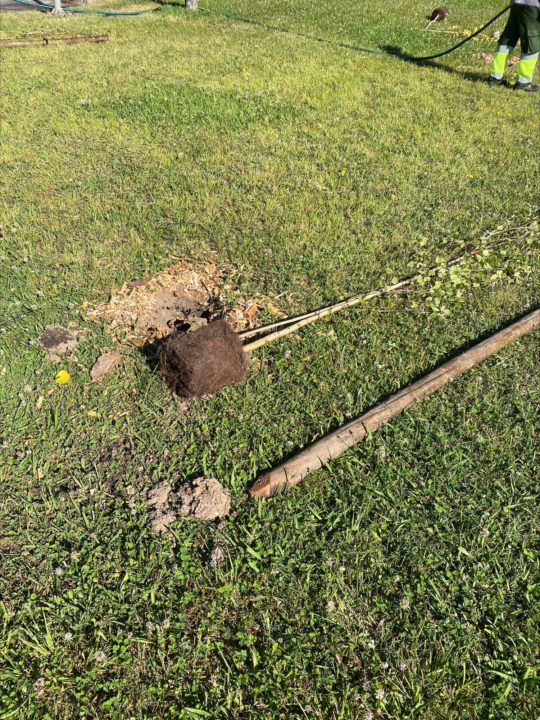 processed-4016B98E-65A0-4F6B-831A-A5916F6D5A35