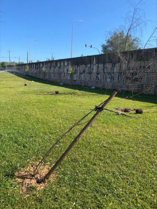 processed-53493F89-7EF0-4CC3-8BFB-08B56F58A86E