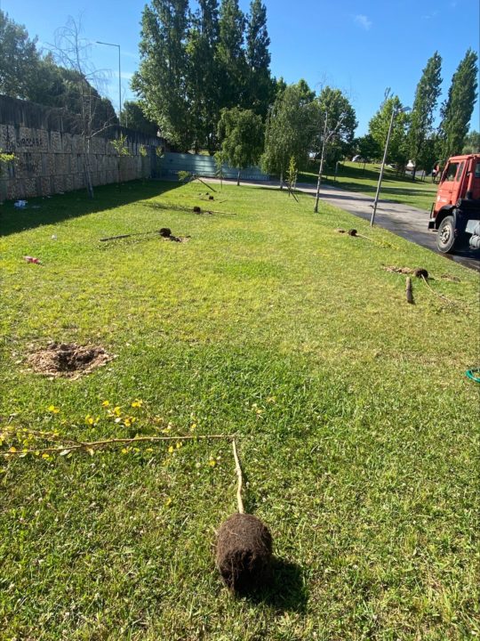 processed-63A451AD-A5FD-4029-91CF-FB206B1583B2