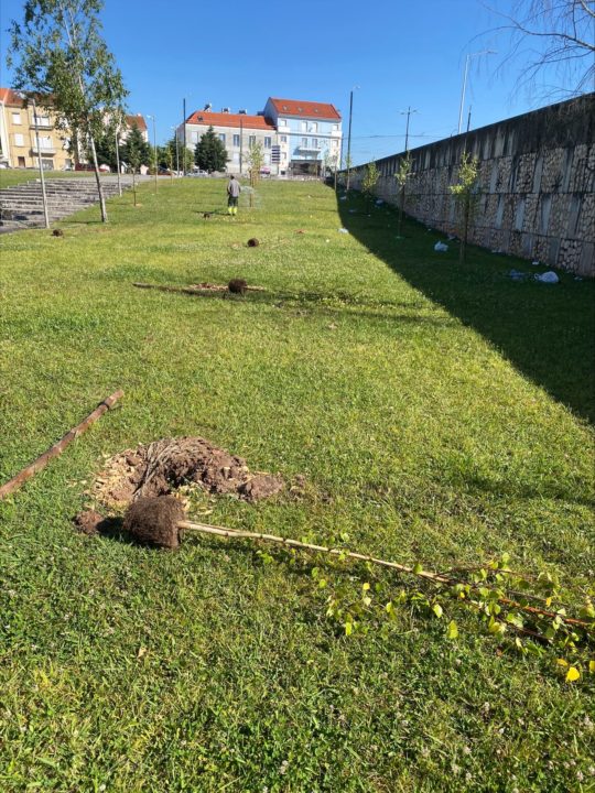 processed-B3F53C6C-FF91-4D24-BF91-9E487D8600D1