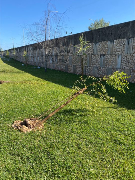 processed-D710765F-9B1D-497D-865E-9CD04DAA18BE