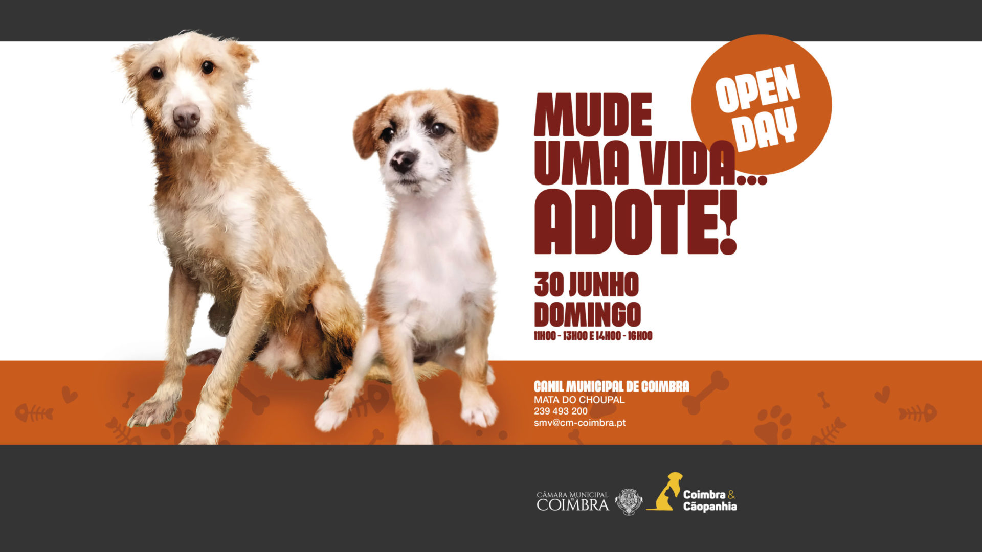 Canil Municipal vai estar de portas abertas no próximo domingo