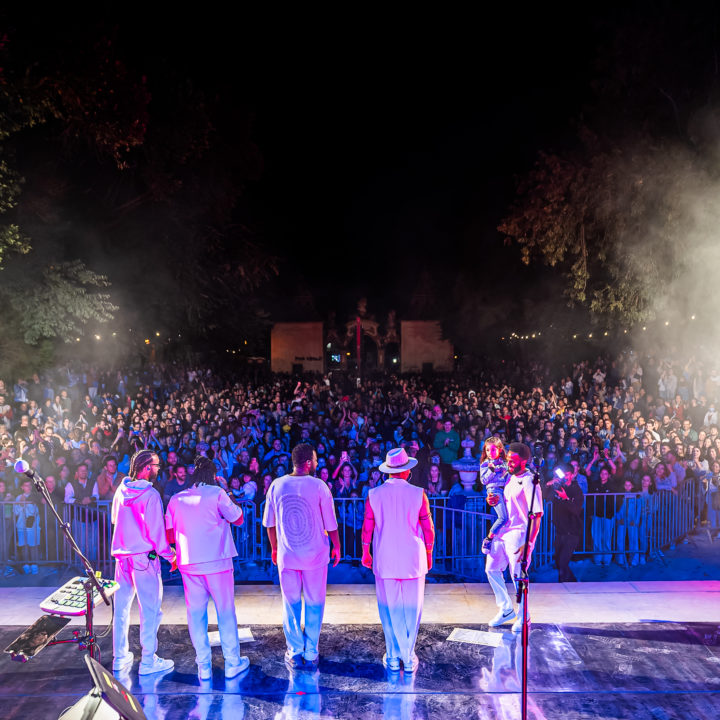 Dino_Festas_Coimbra_-23