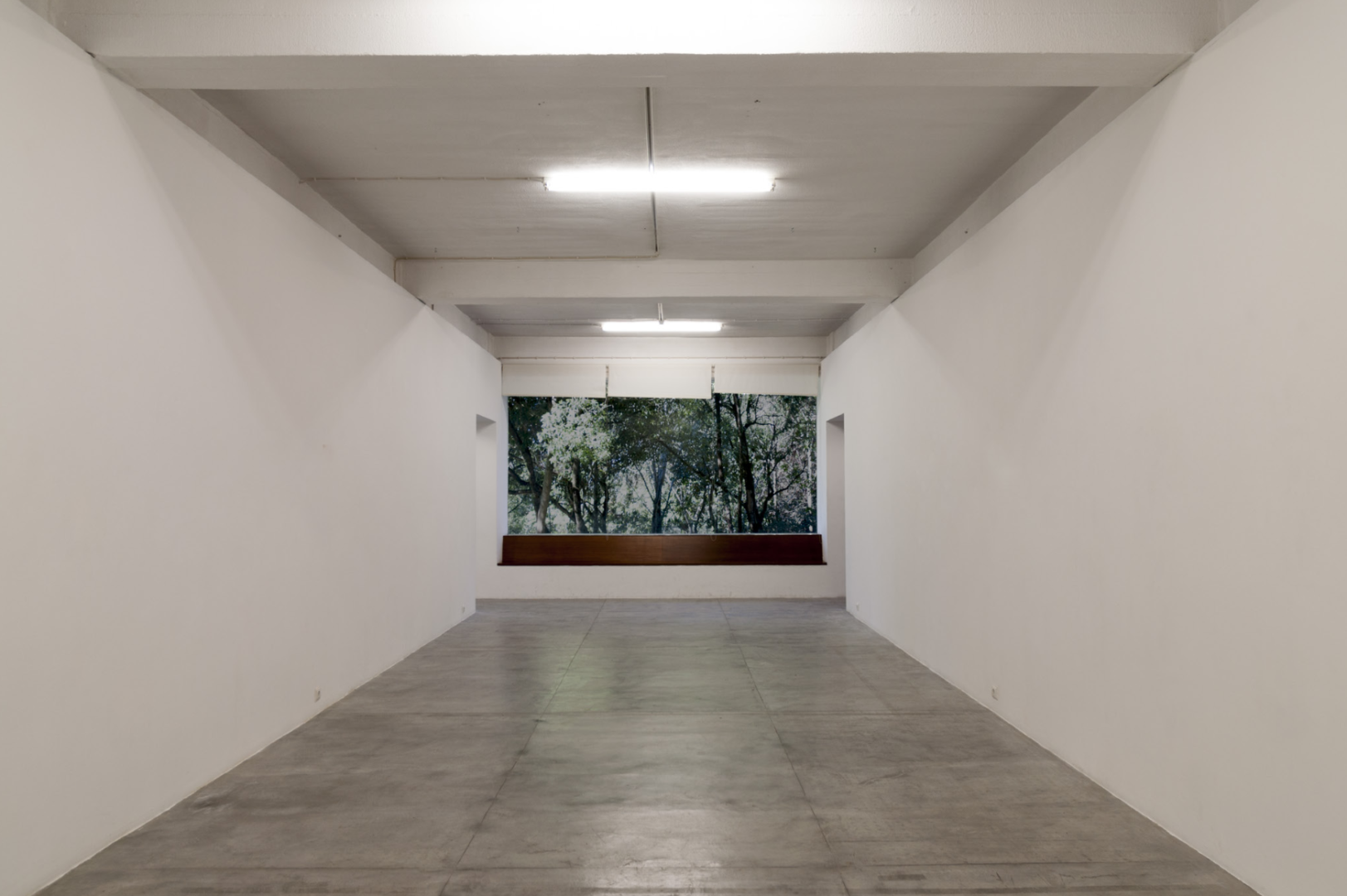 CM de Coimbra vai apoiar atividade permanente do CAPC e gestão da Galeria Municipal Espaço Sereia com protocolo trienal no valor global de 210 mil euros