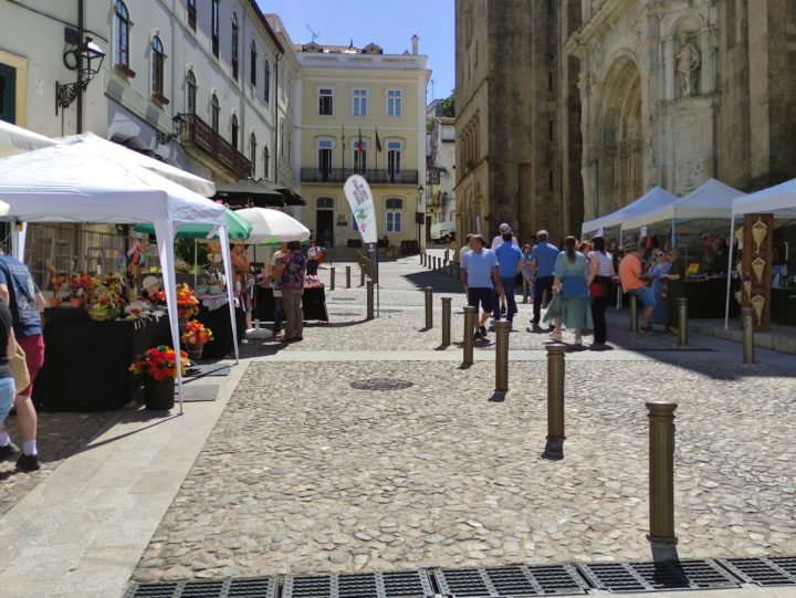 IMG_20240713_112454 (Custom)