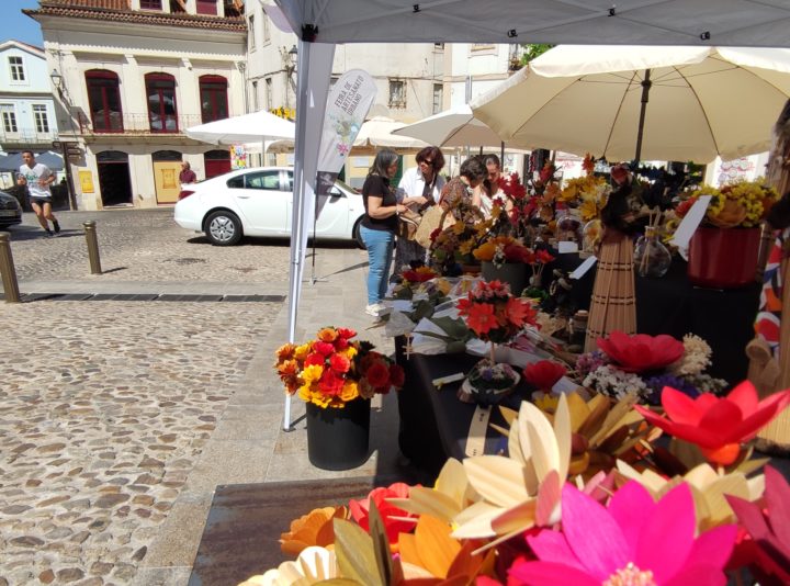 IMG_20240713_112538 (Custom)