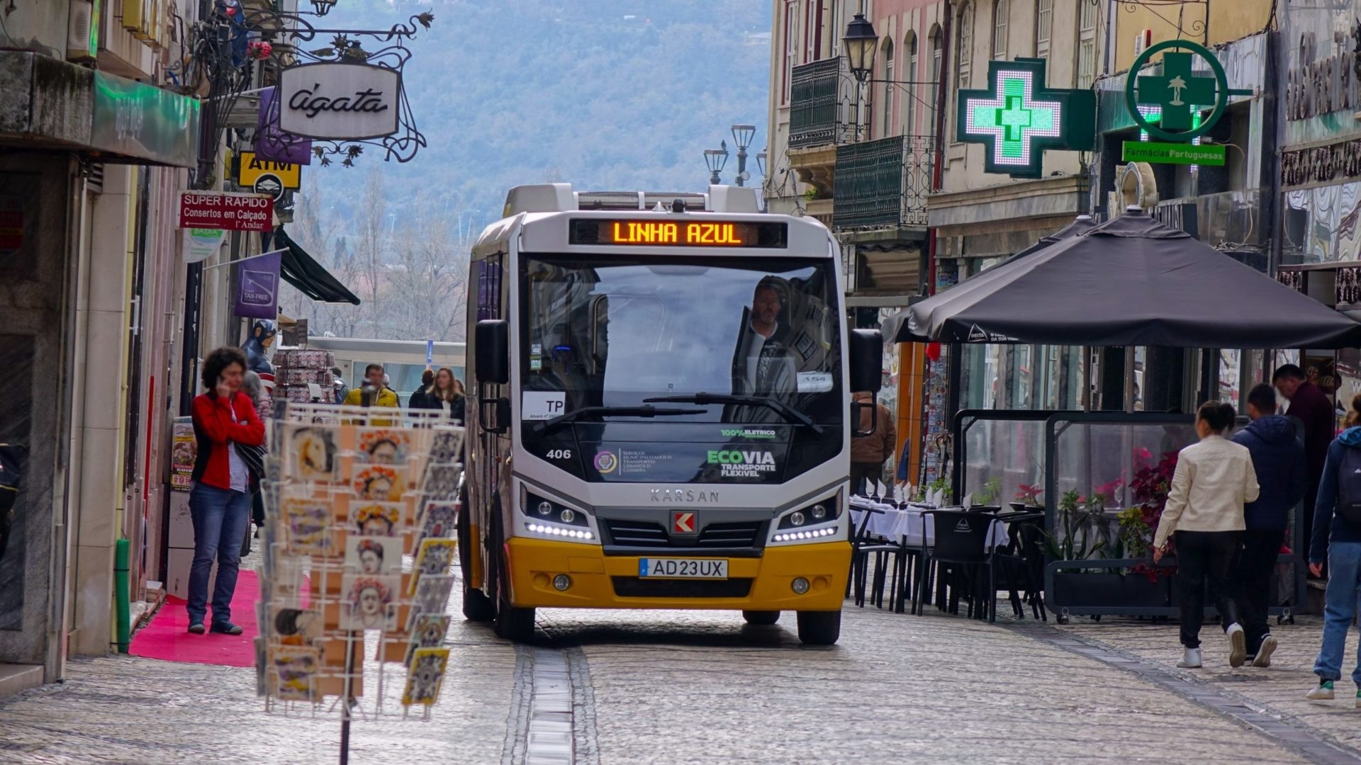 SMTUC pondera pagar carta a futuros motoristas