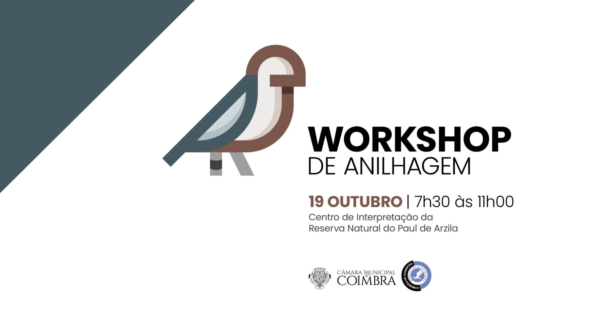 CM de Coimbra promove workshop sobre anilhagem dia 19 na Reserva Natural do Paul de Arzila