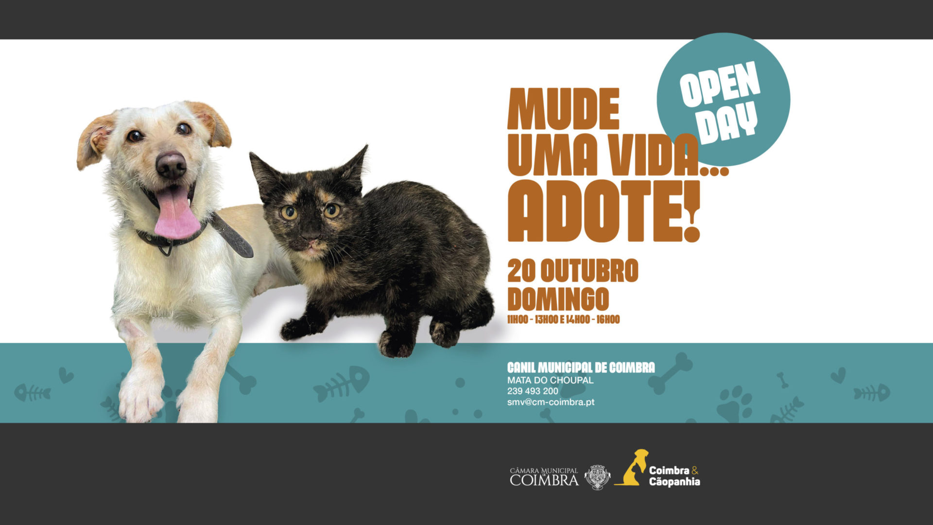 “Open day” no próximo domingo no Canil Municipal para incentivar adoções responsáveis