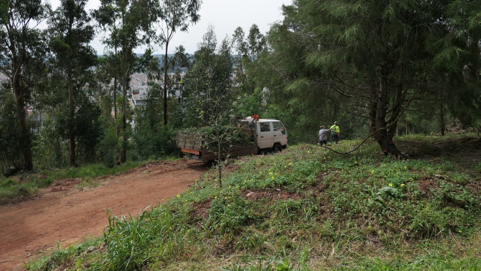 Região de Coimbra implementa rede de contentores para uma gestão sustentável dos resíduos agrícolas e florestais