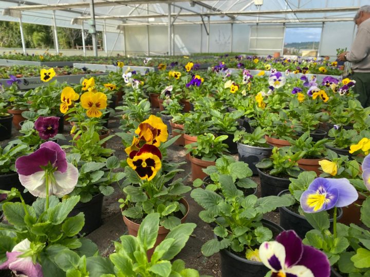 Intervenções de manutenção e de requalificação do espaço público em outubro (6)