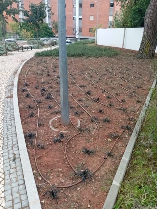 72eb9d87-f448-434c-a04a-4bdb91b87c98