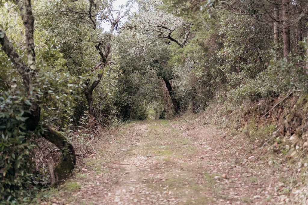 Novo Plano Municipal de Ação Climática de Coimbra aprovado na reunião de Câmara