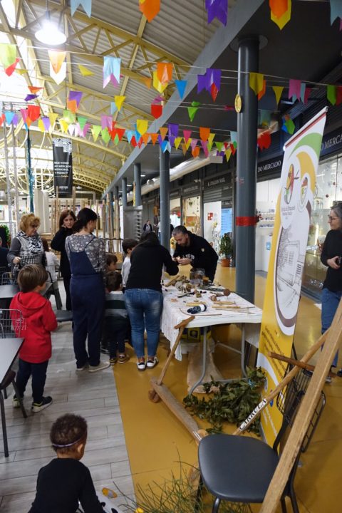 DSC07674 (Custom)-001