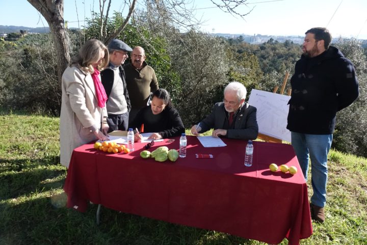 Hortas Urbanas - Ingote (14)