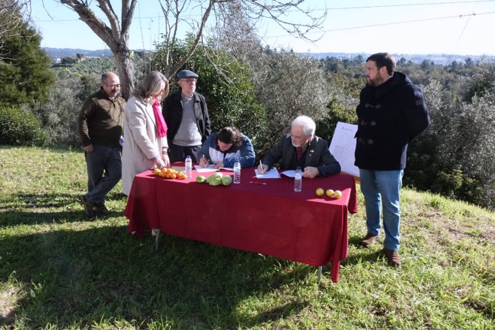 Hortas Urbanas - Ingote (18)