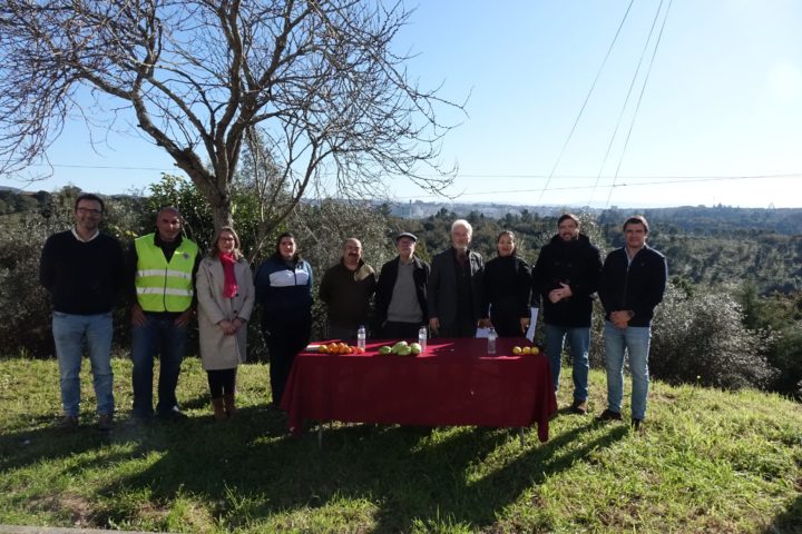 Hortas Urbanas - Ingote (22)