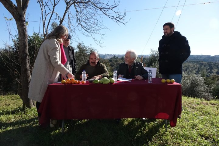 Hortas Urbanas - Ingote (6)