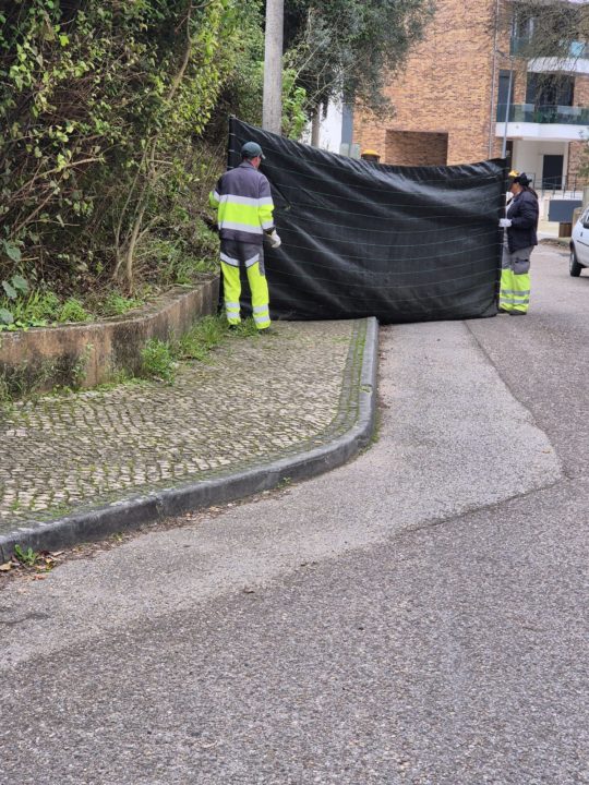 Intervenções na área do ambiente e limpeza urbana em novembro