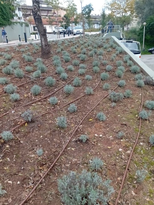 bb9a1f74-580e-46b6-9850-1f708da0d901