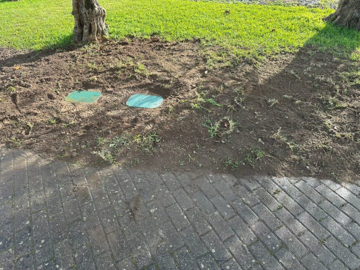 95f8da24-f66b-472e-88ae-badd70f3353b