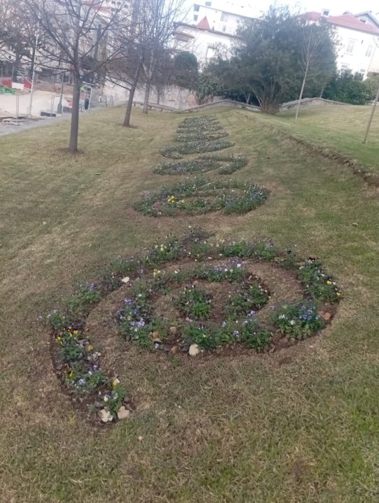 d17a03fa-df8a-42d4-94d0-57c080bc03d3